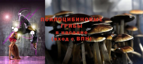 стафф Киреевск