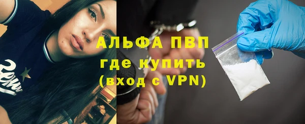 стафф Киреевск