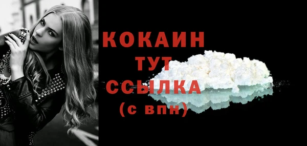 МДПВ Козельск