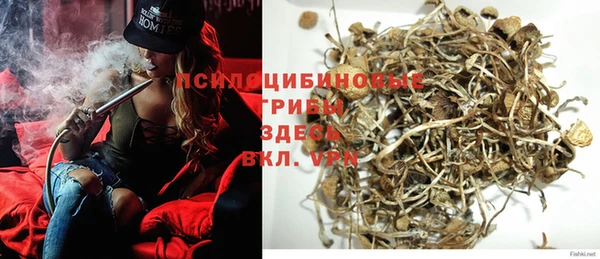 МДПВ Козельск